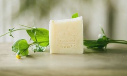 Embracing Tradition: The Timeless Appeal of Traditional Soaps
