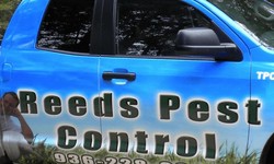 The Importance of Reeds Pest Control