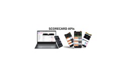 Play Profits: Intelligent Scorecard API Solutions for Gambling