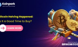 Bitcoin Halving Happened: Is It a Good Time to Buy?