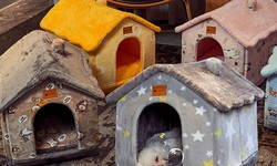 The Classic Snoopy Dog House: An Everlasting Symbol of Coziness and Happiness