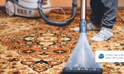 How professionals clean area rugs