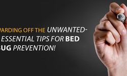 Warding Off the Unwanted: 7 Essential Tips for Bed Bug Prevention!