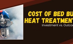 Cost of Bed Bug Heat Treatment: Investment vs. Outcome