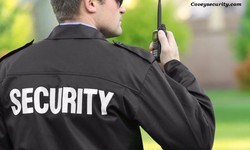 phoenix security services