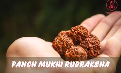Panch Mukhi Rudraksha: Unlocking the Power Within