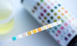 Mobile Drug Test for Workplace Safety: A Growing Trend
