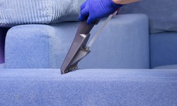 The Hidden Benefits of Sofa Cleaning for Wahroonga Homeowners