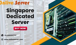 Singapore Dedicated Server: The most effective preference for global connectivity