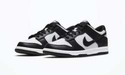 Discover the Perfect Pair of Nike Dunks for Kids at LVRG + Capitalist
