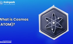 What is Cosmos (ATOM)?