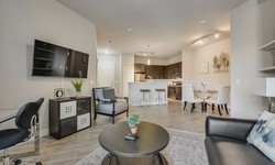 Affordable Luxury: Budget-Friendly Furnished Housing Solutions in Dallas