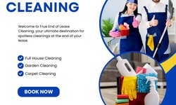 Beyond Clean: Top Tricks for End of Lease Cleaning Success