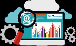 How To Choose the Right SEO Reseller Program for Your Business