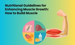 Nutritional Guidelines for Enhancing Muscle Growth: How to Build Muscle