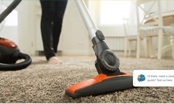 How to Clean a Dirty Carpet Without Water