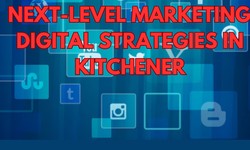 Next-Level Marketing: Digital Strategies in Kitchener