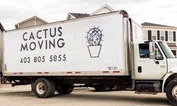 Efficient Calgary Moving Services: Your Key to Stress-Free Relocation