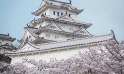 Explore 10 beautiful places in japan tour packages from india