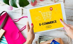 Choosing the Right Partner: Navigating the World of Shopify Ecommerce Agencies
