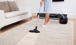 Explore Cheap Carpet Cleaning Options & Experience The Difference For Yourself