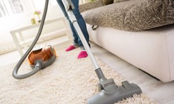 Discover Professional and Affordable Carpet Cleaning Services