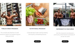 Bar Brothers (The System) 12 Week Program | Review & Results