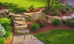 The Art of Landscaping: Creating Beautiful Outdoor Environments