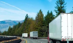 Seamless Canada to USA Moves: Trusted Movers for Cross-Border Transitions