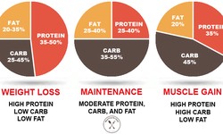Macros for Weight Loss