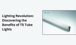 The Bright Idea: Understanding the Benefits of T5 Tube Lights