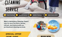 Say Goodbye to Stains: Professional Upholstery Cleaning Pakenham