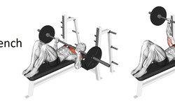 Feet Up Bench: Enhance Your Workout with Stability and Precision