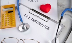Maximizing Returns: Understanding Whole Life Insurance Dividend Rates