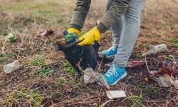 Simplifying Your Yard Cleanup: Green Waste Removal Near Me