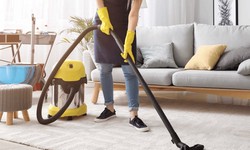 Check Out Professional And Best Eco Carpet Cleaning Services