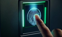 Unveiling Hidden Identities: USB Cameras in Healthcare Biometrics Solutions