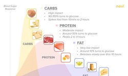 Carbohydrates: Understanding Their Digestion and Impact on Blood Sugar Levels