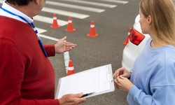Mastering Road Signs: A Guide to Acing Your Driving Test