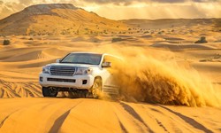 Dubai 2024 Unveiling the Best desert safari dubai Adventures