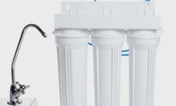 The House Water Filter: A Necessity for Healthy Homes
