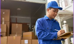 Your Guide to Legal Courier Miami Services: Ensuring Timely Delivery
