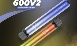 Savor Convenience and Flavor with Elf Bar 600 V2 Disposable Vape