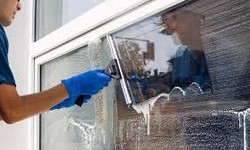 Professional Window Cleaning Services in Toronto