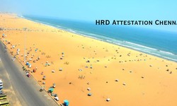 Exploring Hassle-Free HRD Attestation Chennai: Your Complete Guide