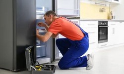 Addressing the Top 5 Common Fridge Issues With Solution