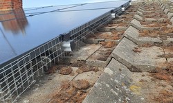 How is Failure to Get Pigeon-Proofing Solar Panels Harmful?