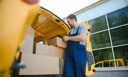 Top Reasons to Choose Team Removals' Man and Van Service in Auckland, New Zealand