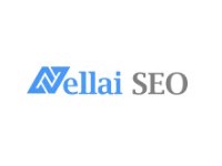 SEO vs. PPC: Determining the Ideal Strategy for Your Business with Nellaiseo
