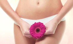 Dubai's Top Picks for Vaginal Enhancement: Fillers and Beyond